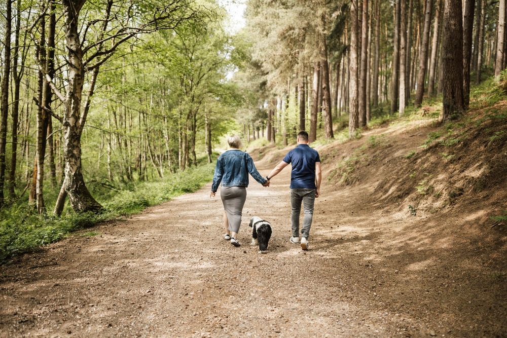 A couple walk hand in hand with their dog down a scenic forest trail on a sunny day.
