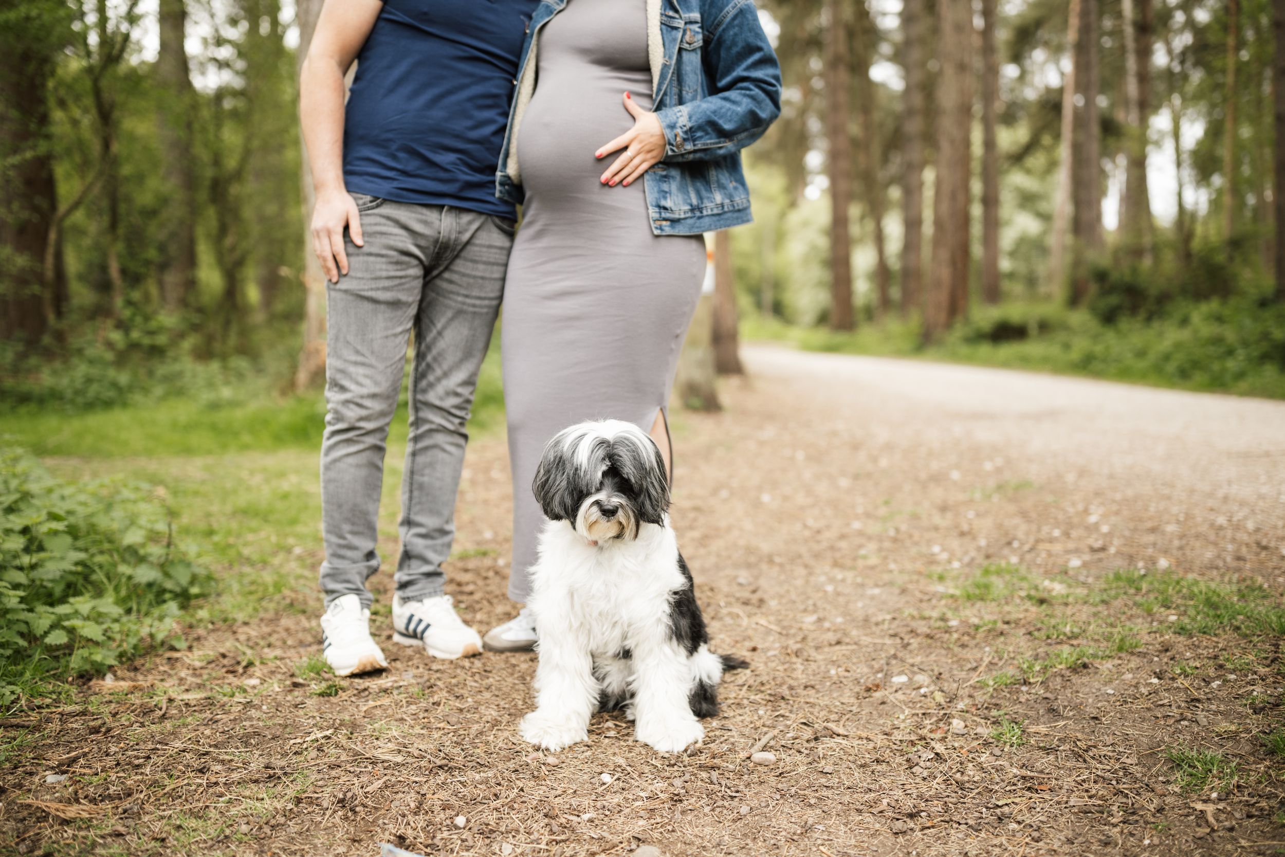 A black and white puppy sits on a dirt path in the forest while someone stands nearby.