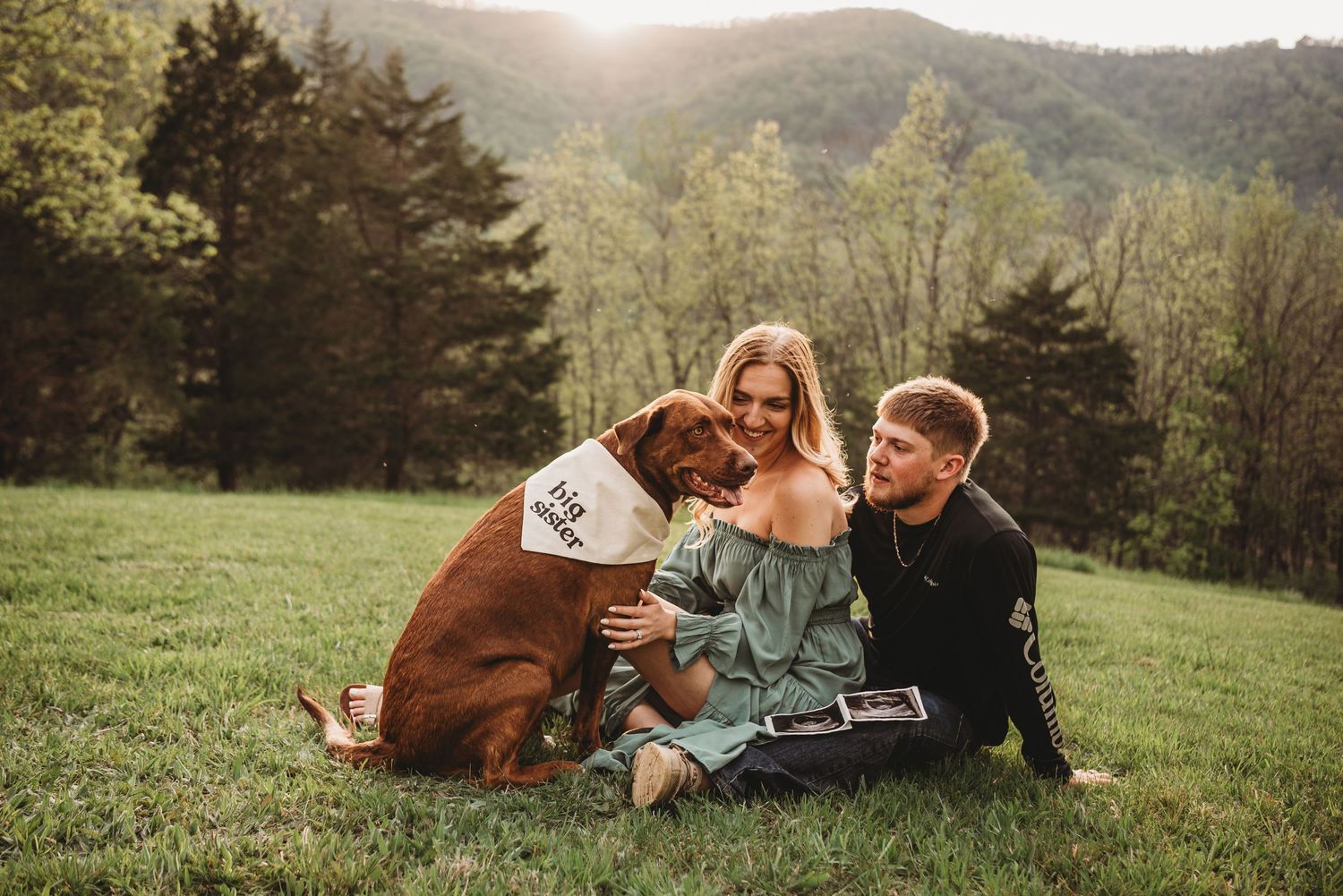 Sunset maternity session in a mountain field with grazing cattle in the background.