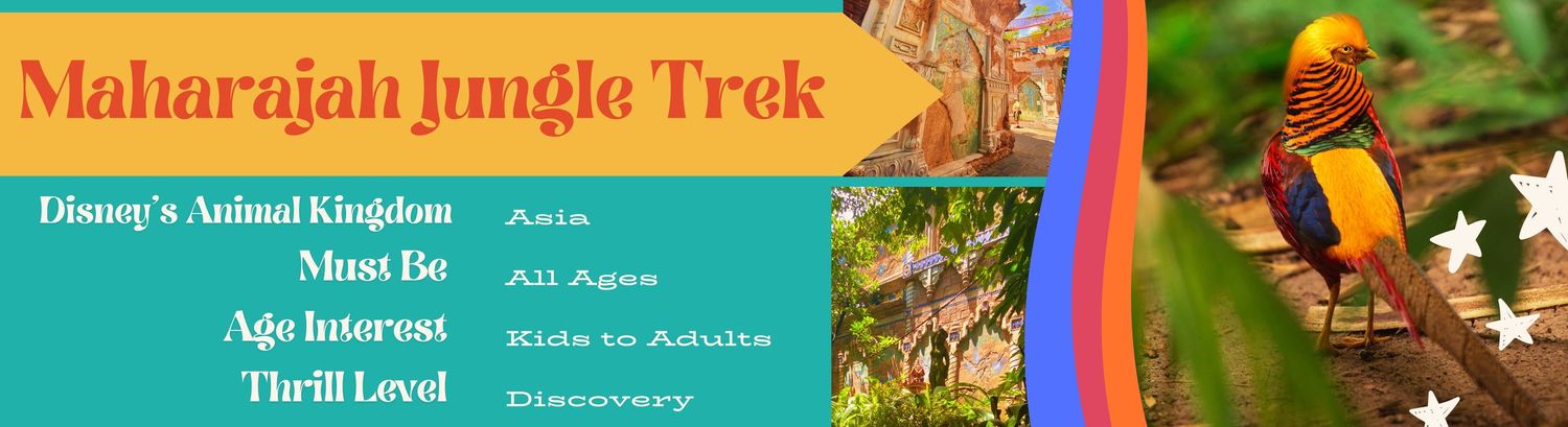 Maharajah Jungle Trek
Photo of pictures from the jungle trek with facts about the ride being for all heights and all ages