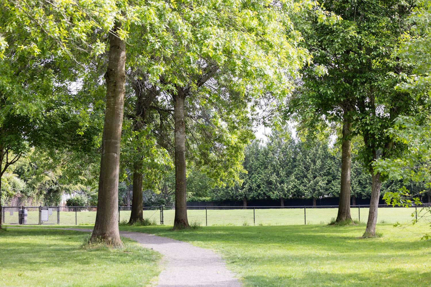 Pilkington dog park in Lake Oswego, Oregon