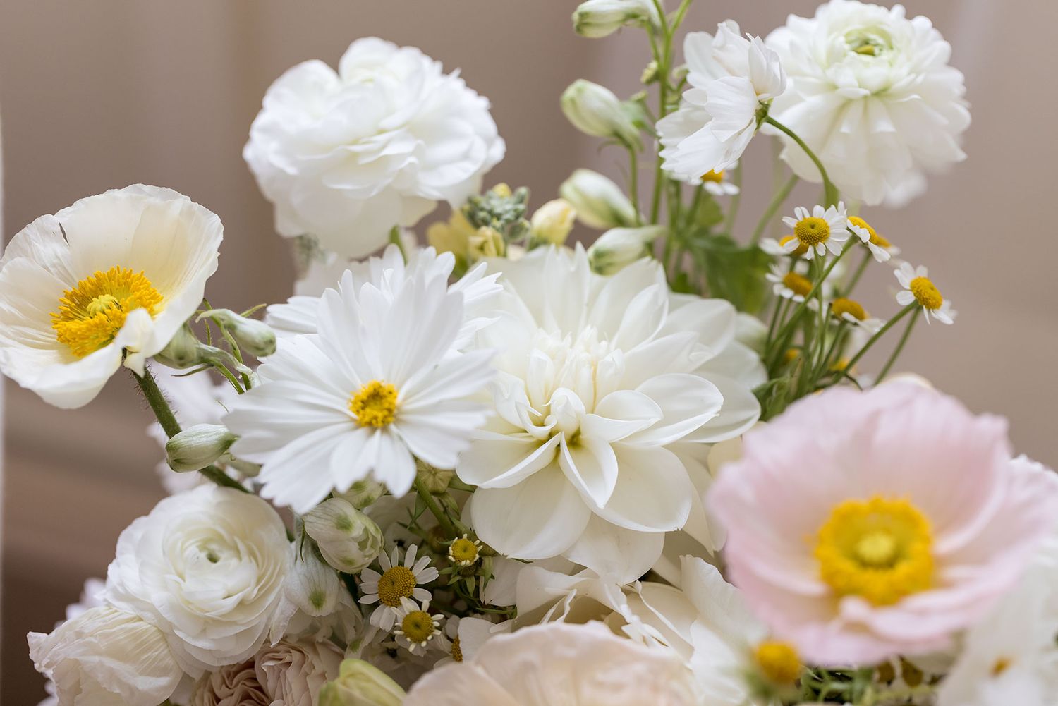 A delicate bouquet of white dahlias, ranunculus, and daisies with soft pink accents arranged in natural light at Gabbinbar Homestead.