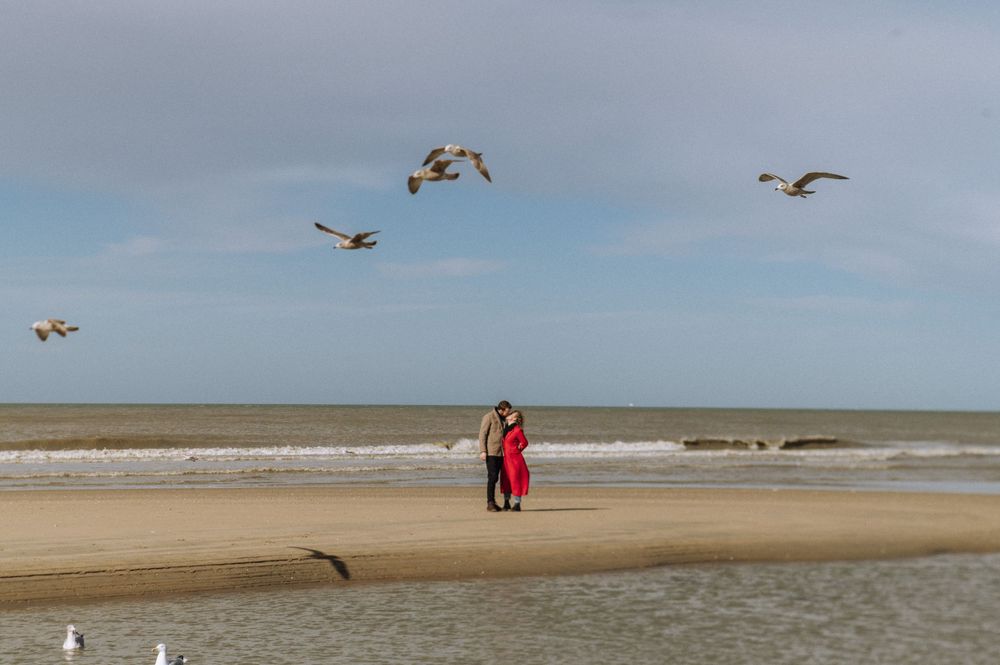 Seagulls soar over a beach scene with figures in red against the ocean backdrop.