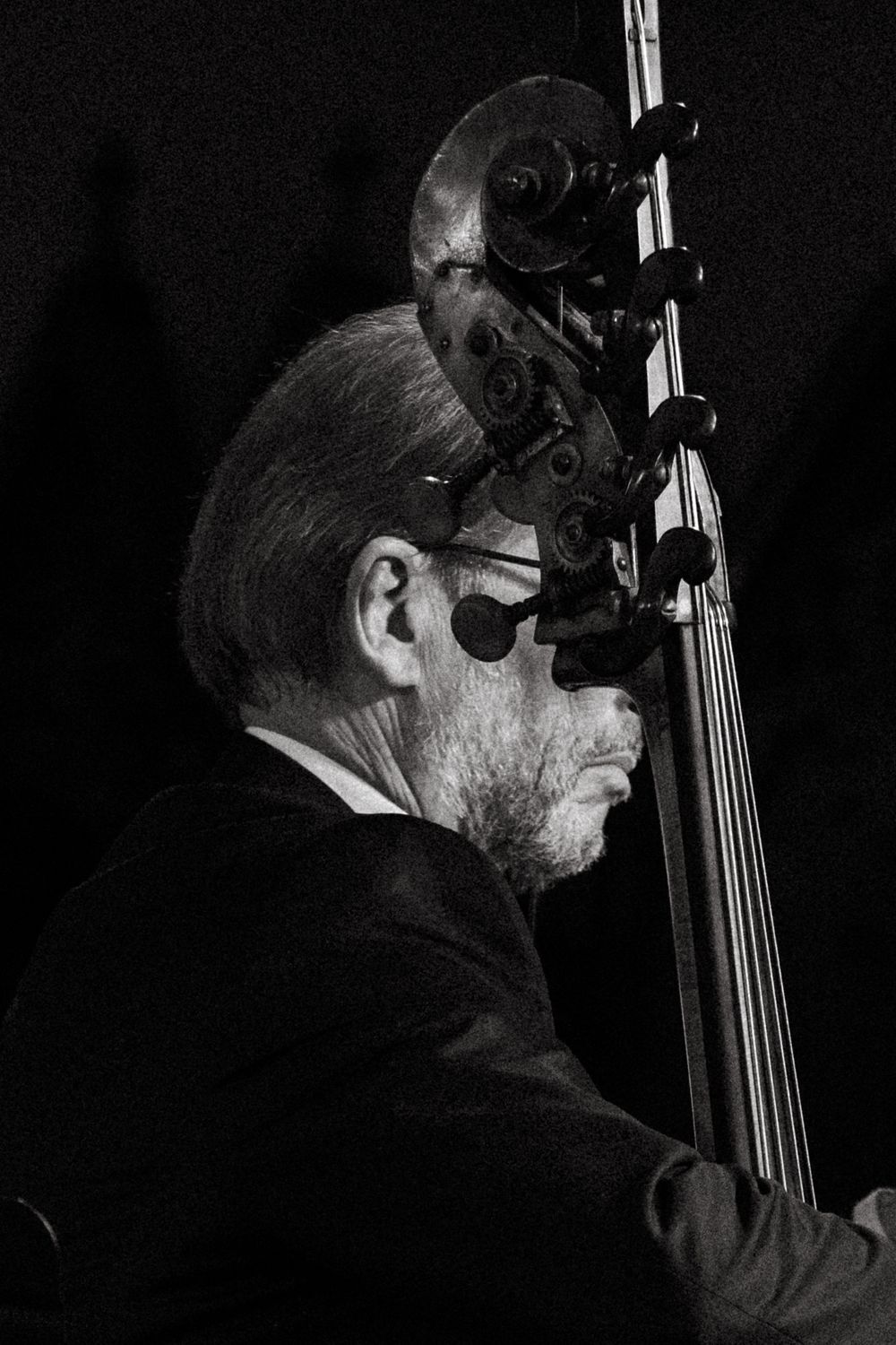 Black and white profile shot of a musician in sunglasses and suit playing upright bass during a performance.