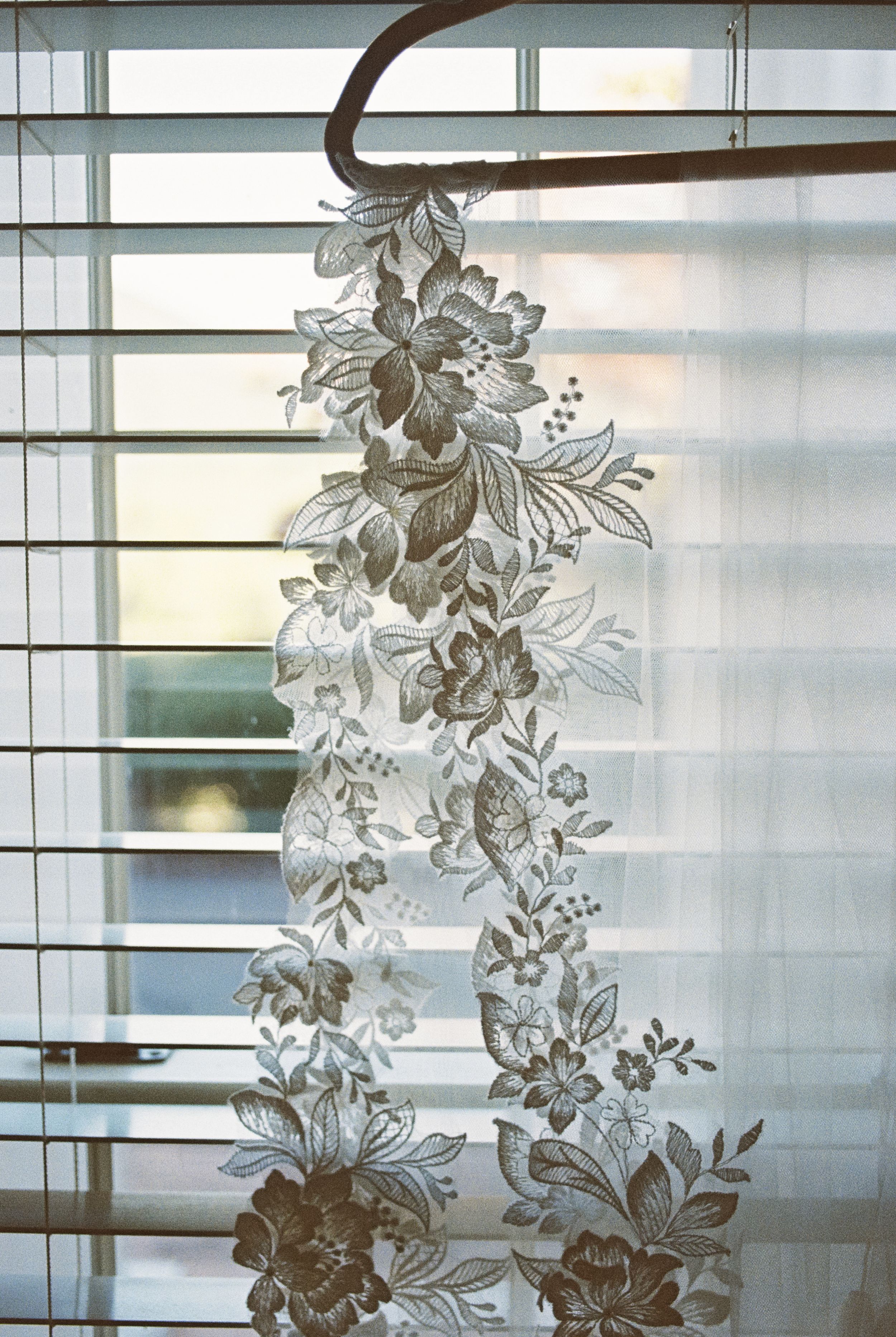 Delicate floral lace curtain pattern filtering sunlight through venetian blinds creates an ethereal translucent effect.