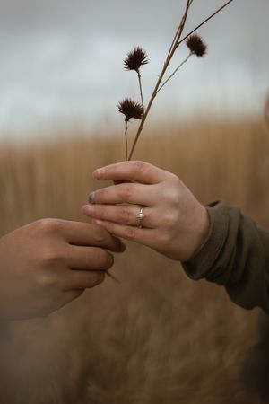 Hands gently hold dried wildflowers while showing off an engagement ring in a field.