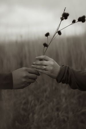 Two hands exchange dried flowers in a moody black and white nature scene.