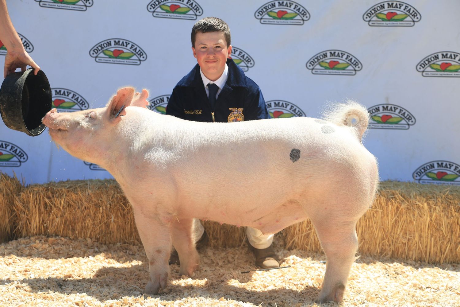 County Fair Photos