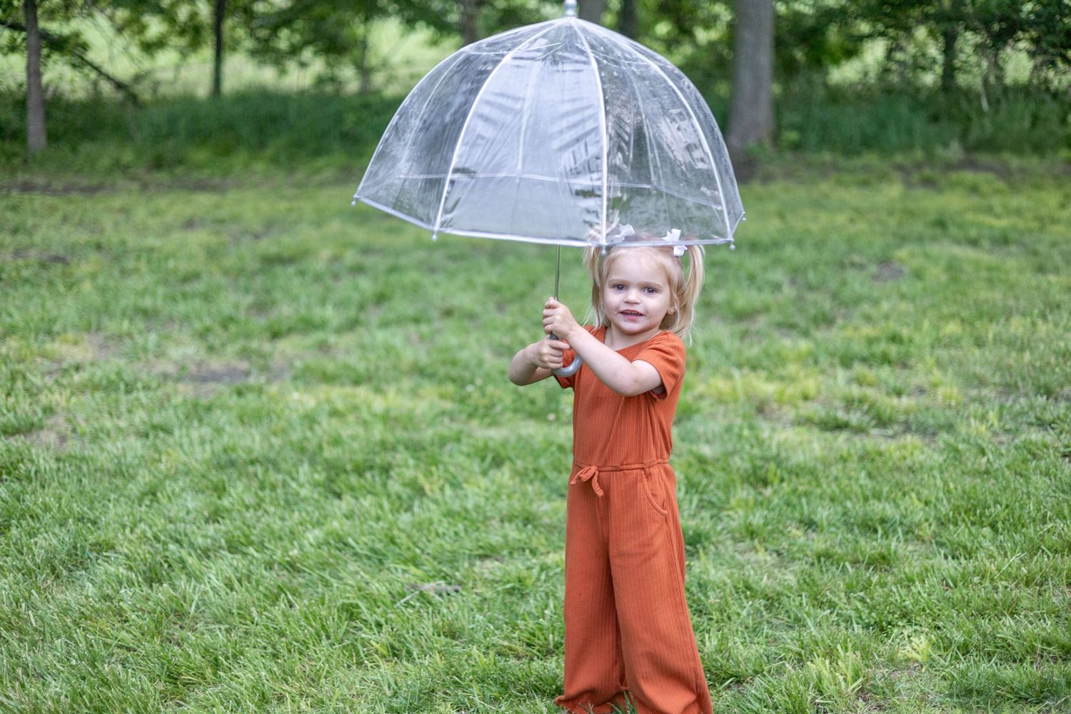 Springfield Illinois photographer captures a young girl holding an umbrella and smiling during a photo session in Central Illinois