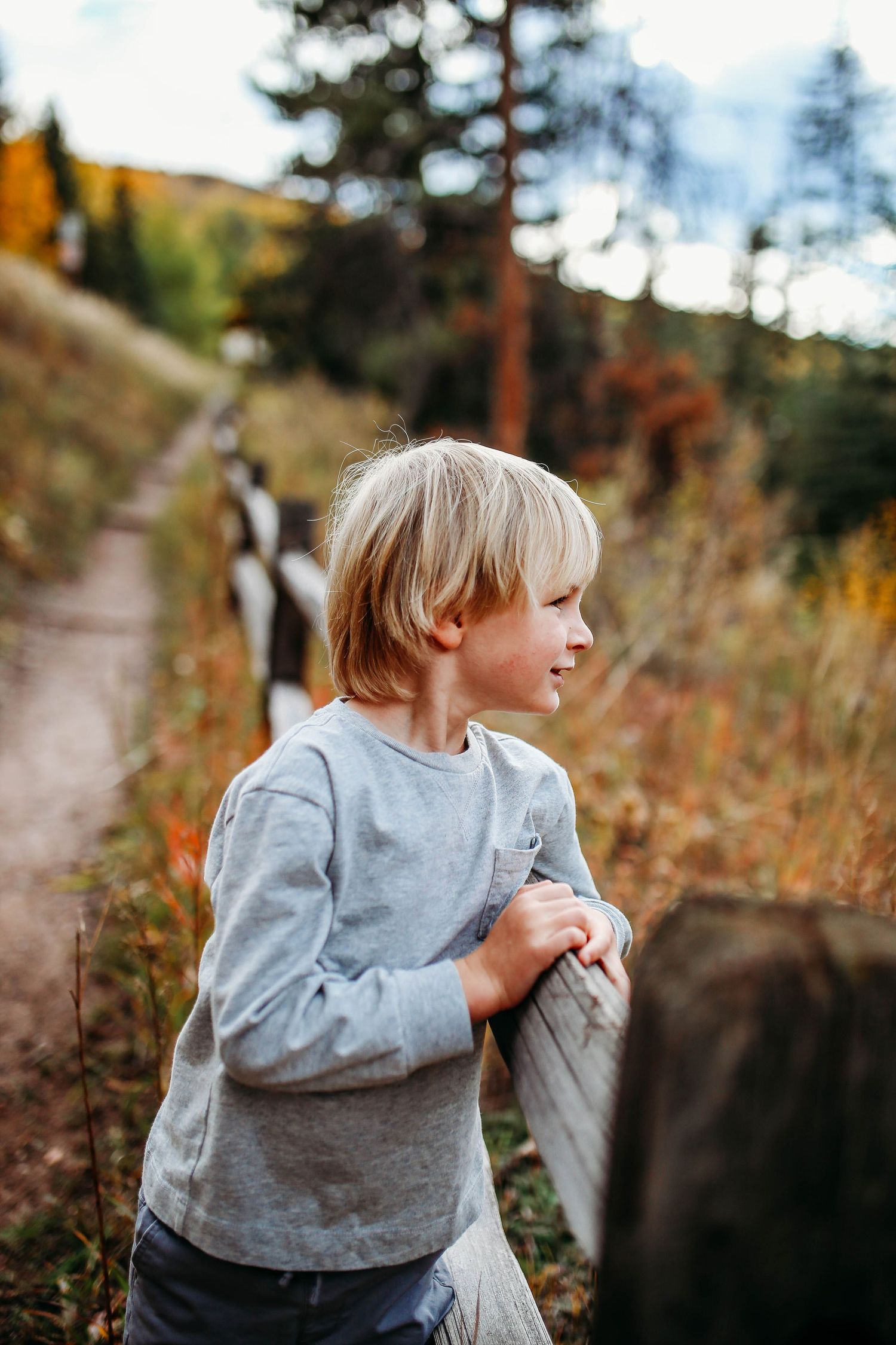 A person in a gray sweatshirt explores outdoors in autumn wilderness during golden hour lighting.