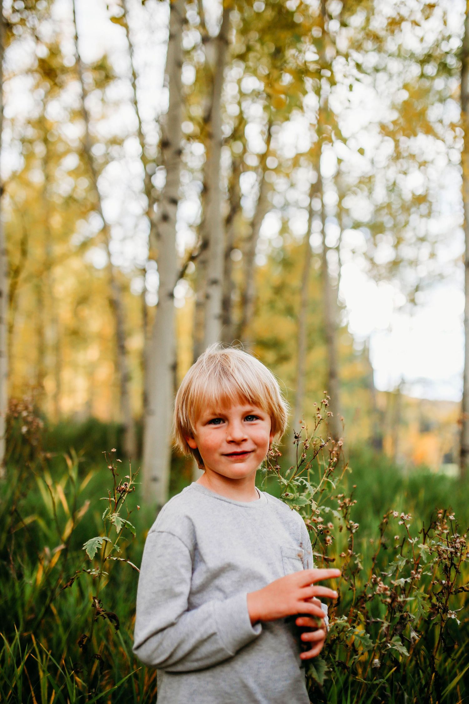 A figure stands in an autumn aspen forest surrounded by tall grass and golden sunlight filtering through the trees.