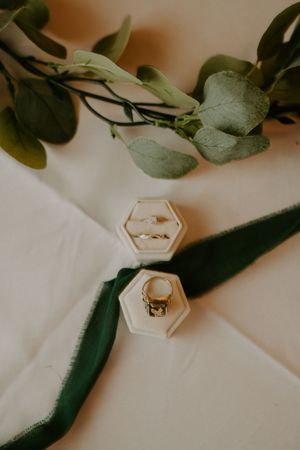 Wedding rings displayed in hexagonal white boxes with eucalyptus leaves.
