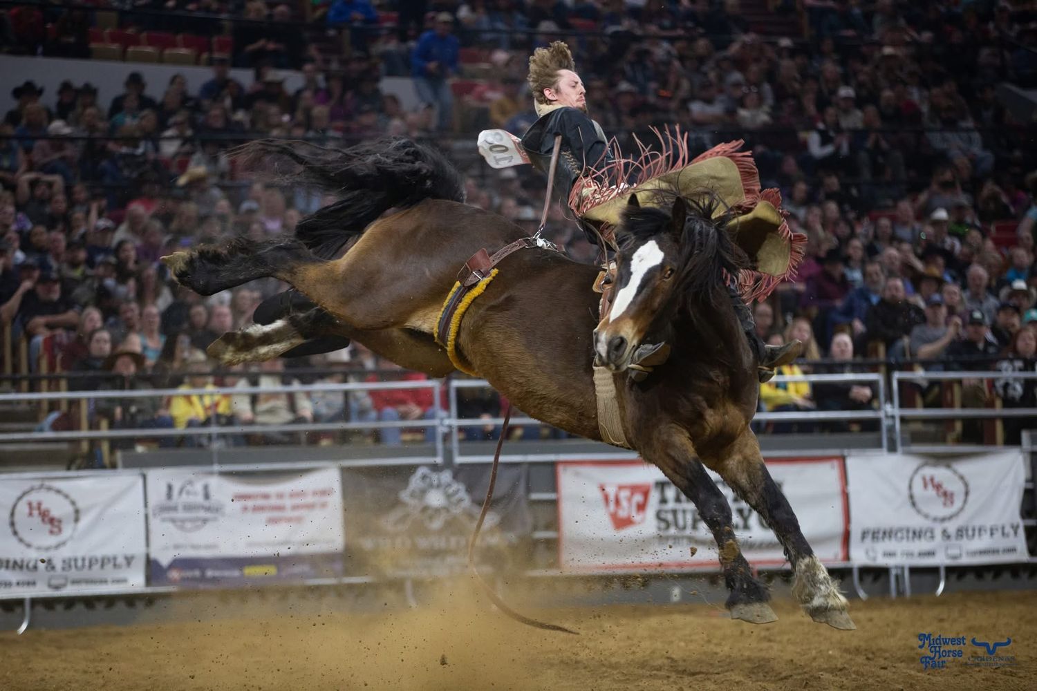 Bronc rider competing on bucking horse during nighttime rodeo performance. Wisconsin Pro Rodeo PRCA Rodeo Photographer Dakota Cardenas