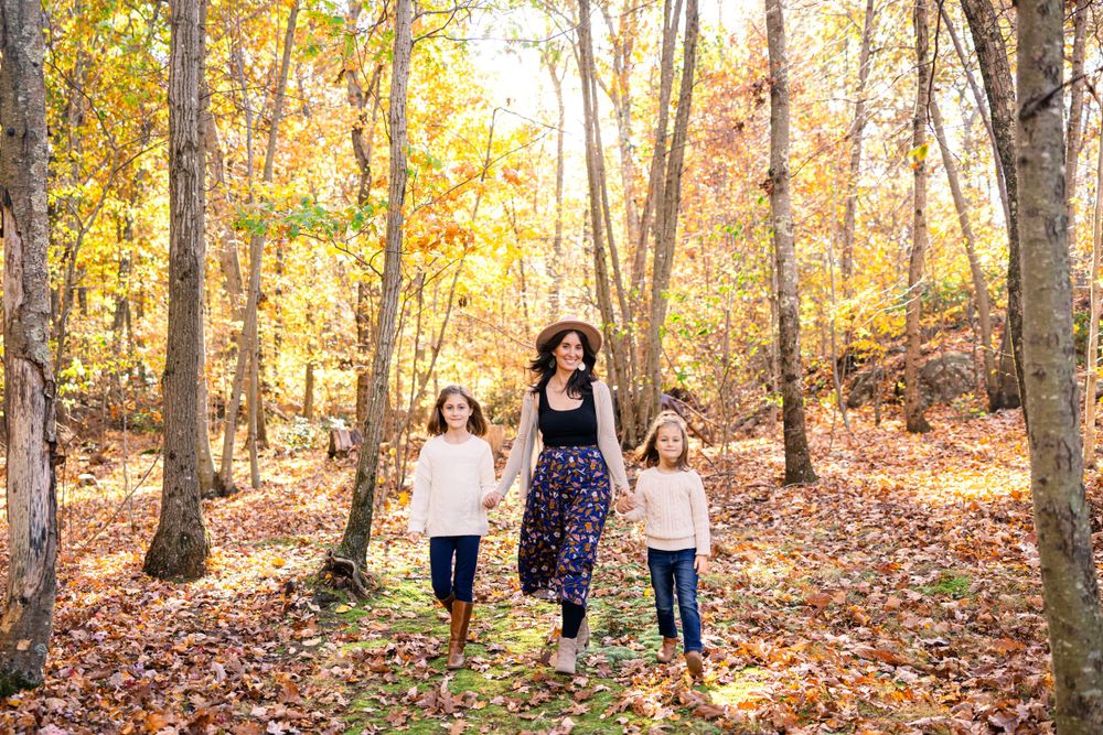Beautiful wooded forest setting with golden fall leaves and tall trees in natural sunlight.