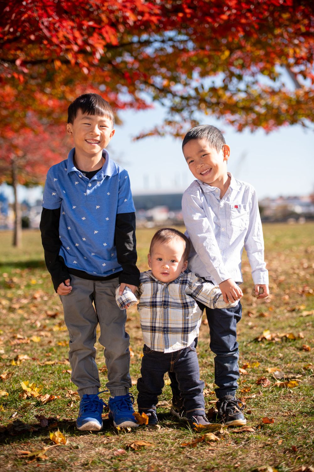Children playing together under vibrant red autumn maple trees.