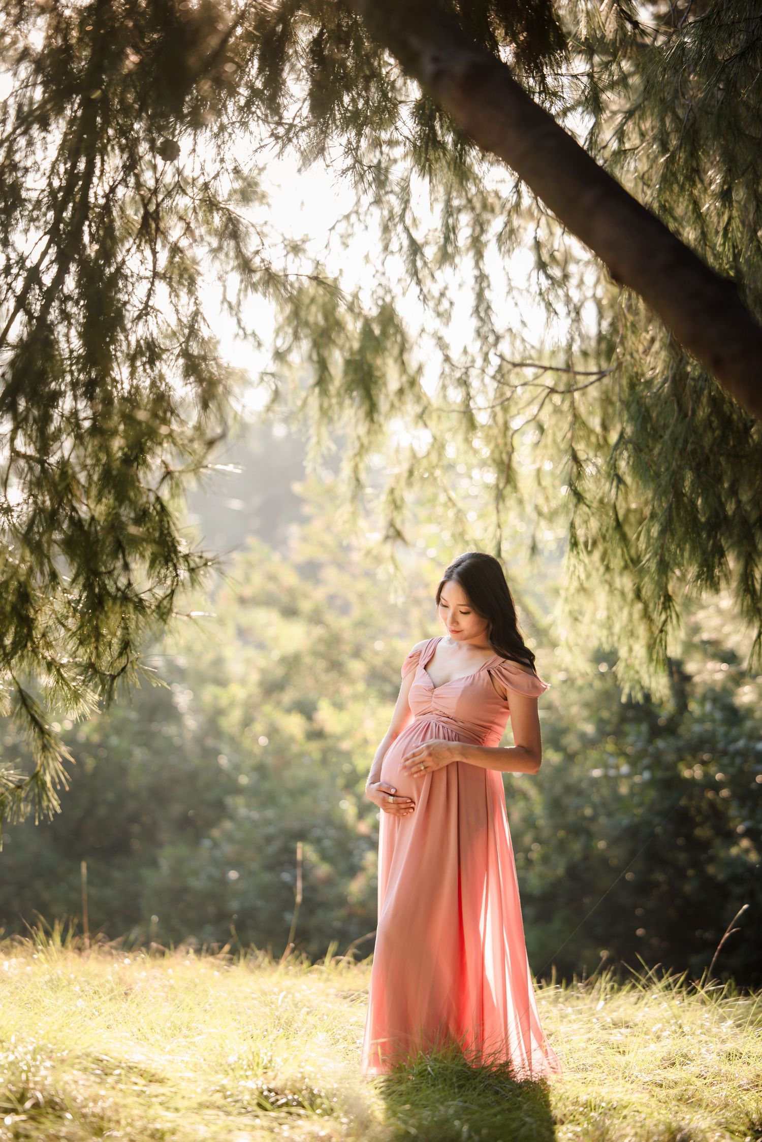 A woman in a flowing pink dress stands under a willow tree in soft golden sunlight during a maternity photoshoot.