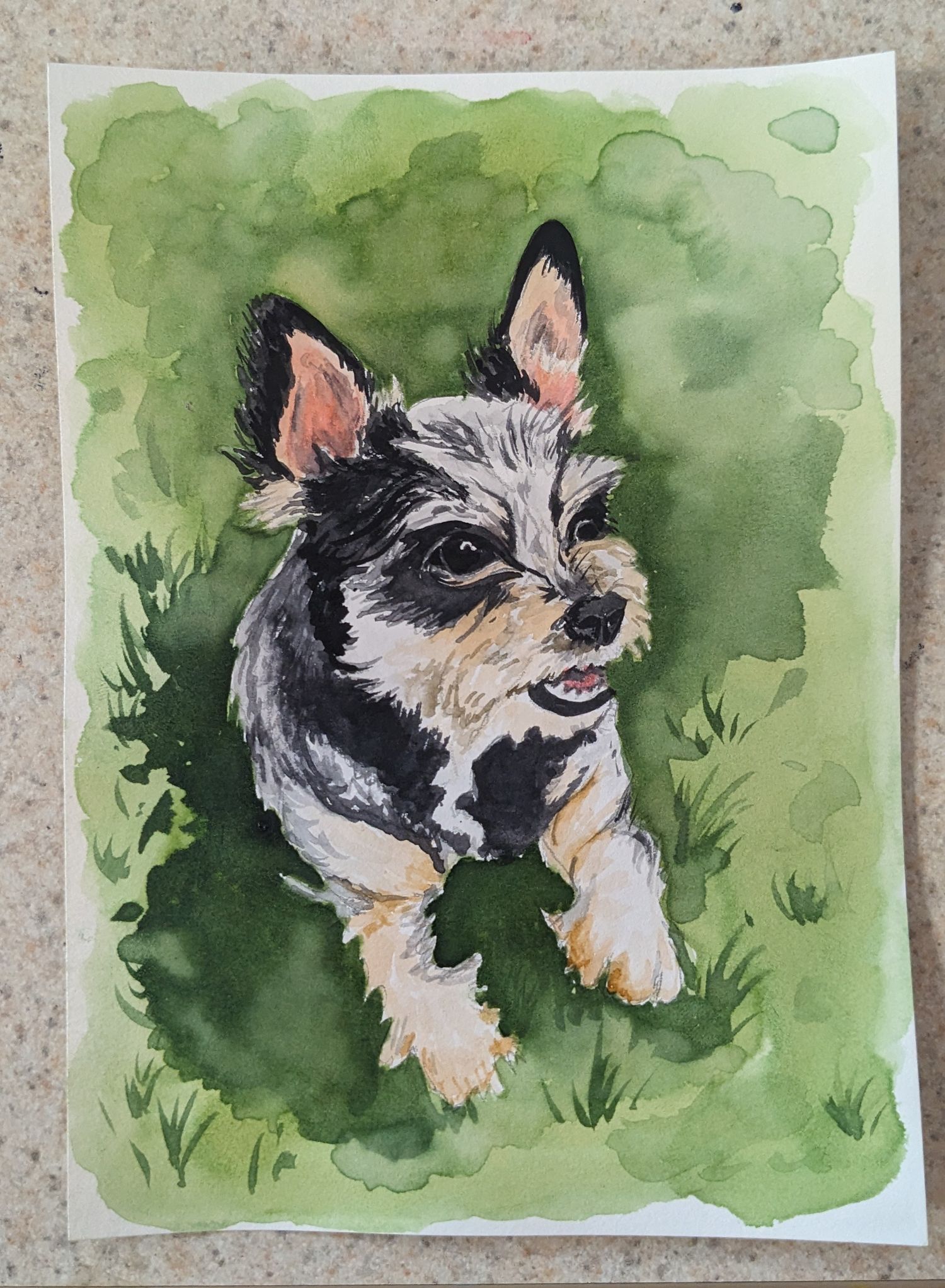 Watercolor painting of a small black and tan dog sitting against a green background with grass.