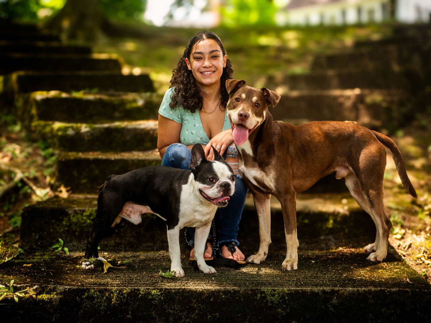 A person sits on stone steps outdoors with two dogs - a brown mixed breed and a black and white dog.