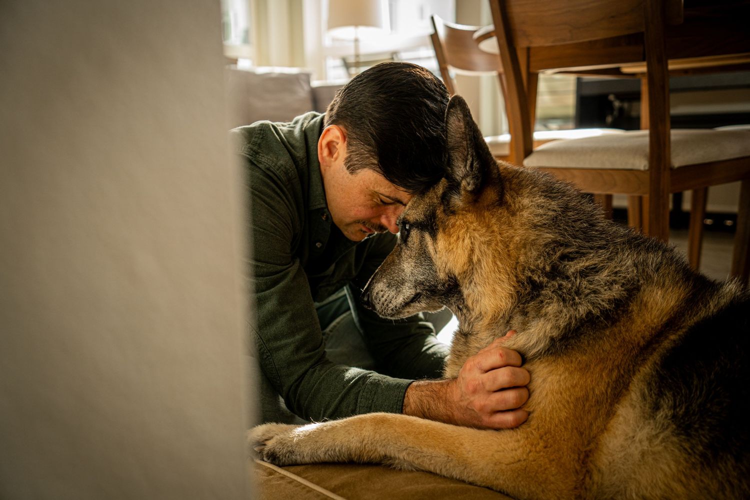 A German Shepherd dog shares a tender moment with someone in a dimly lit room.