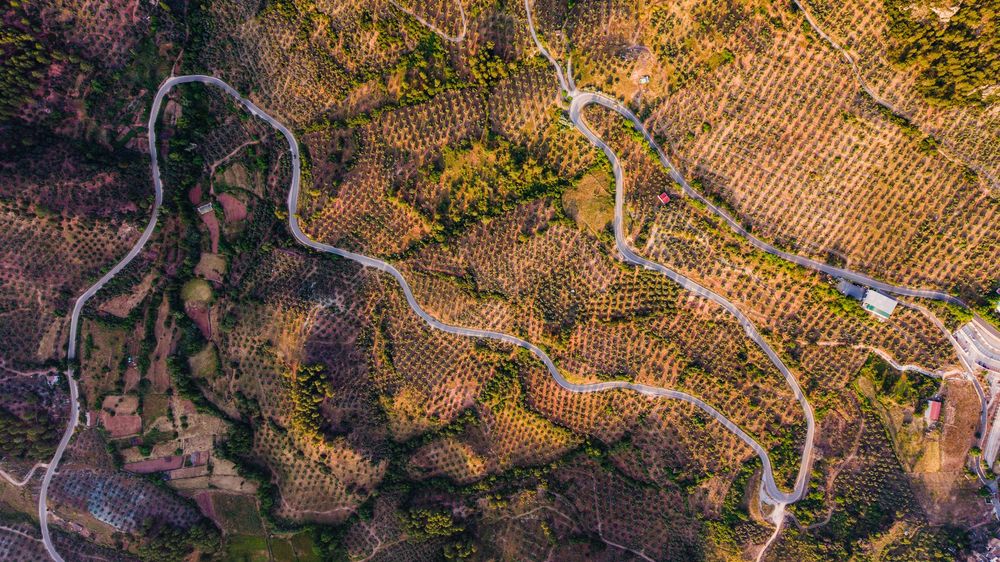 Aerial view of terraced vineyards with autumn foliage covering rolling hills in a wine region.