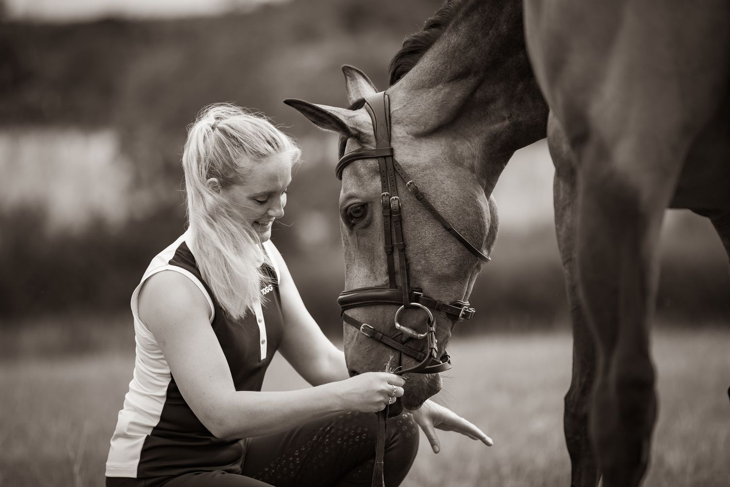 A series of seven photos showing a white horse and rider interacting at a wooden fence in an outdoor setting.