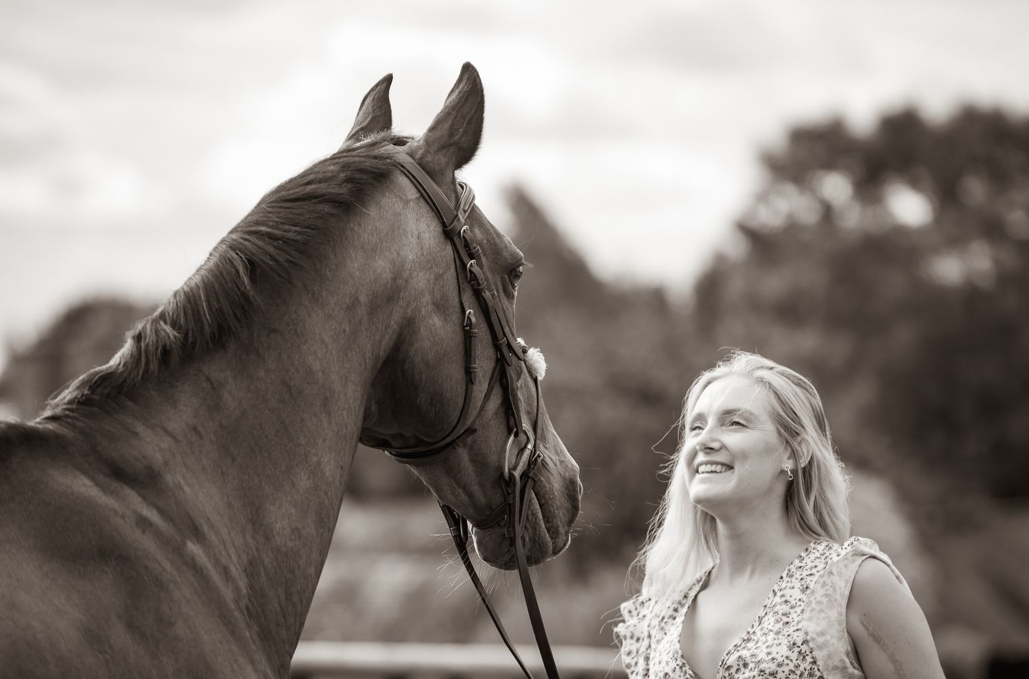 A beautiful black and white paint horse stands with a person on a sunny autumn day outdoors.
