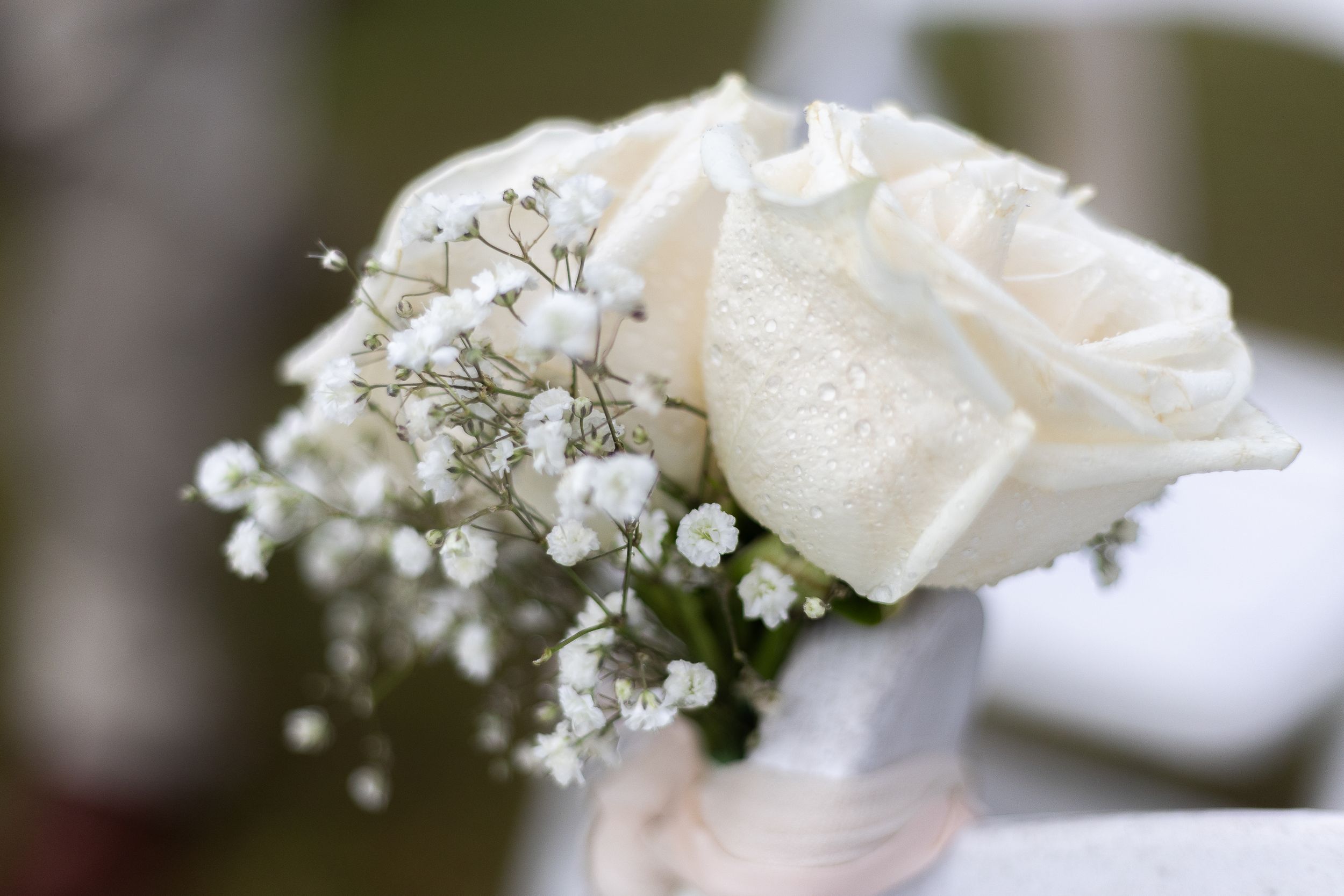 A delicate white rose with baby's breath flowers creates an elegant floral arrangement against a soft blurred background.