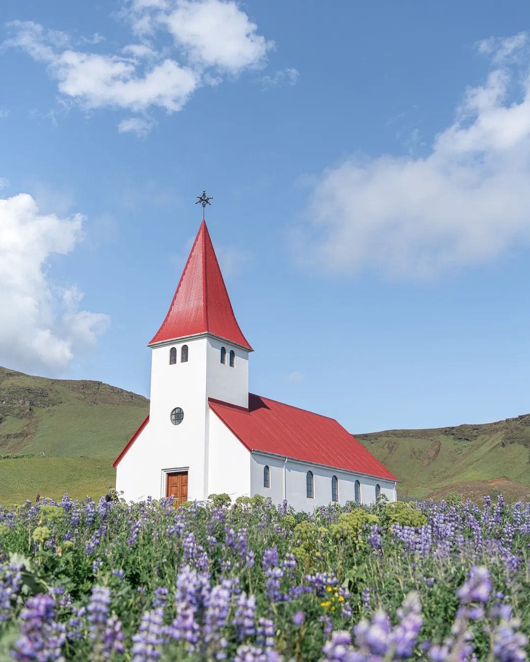 White Icelandic church with red roof surrounded by blooming purple lupins.