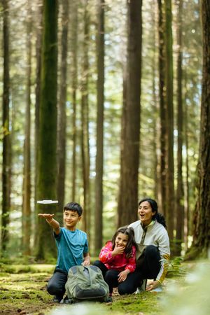 A group of people relaxing and lying down in a peaceful forest setting among tall evergreen trees.