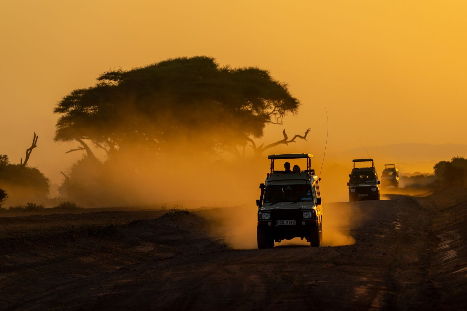Safari vehicles silhouetted against a dramatic orange African sunset with acacia trees in the background.