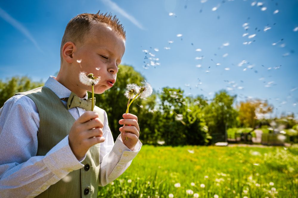 Jongen blaast paardenbloemen in zonlicht tijdens communieshoot – speels lentebeeld vol emotie door Bart Boodts Photography