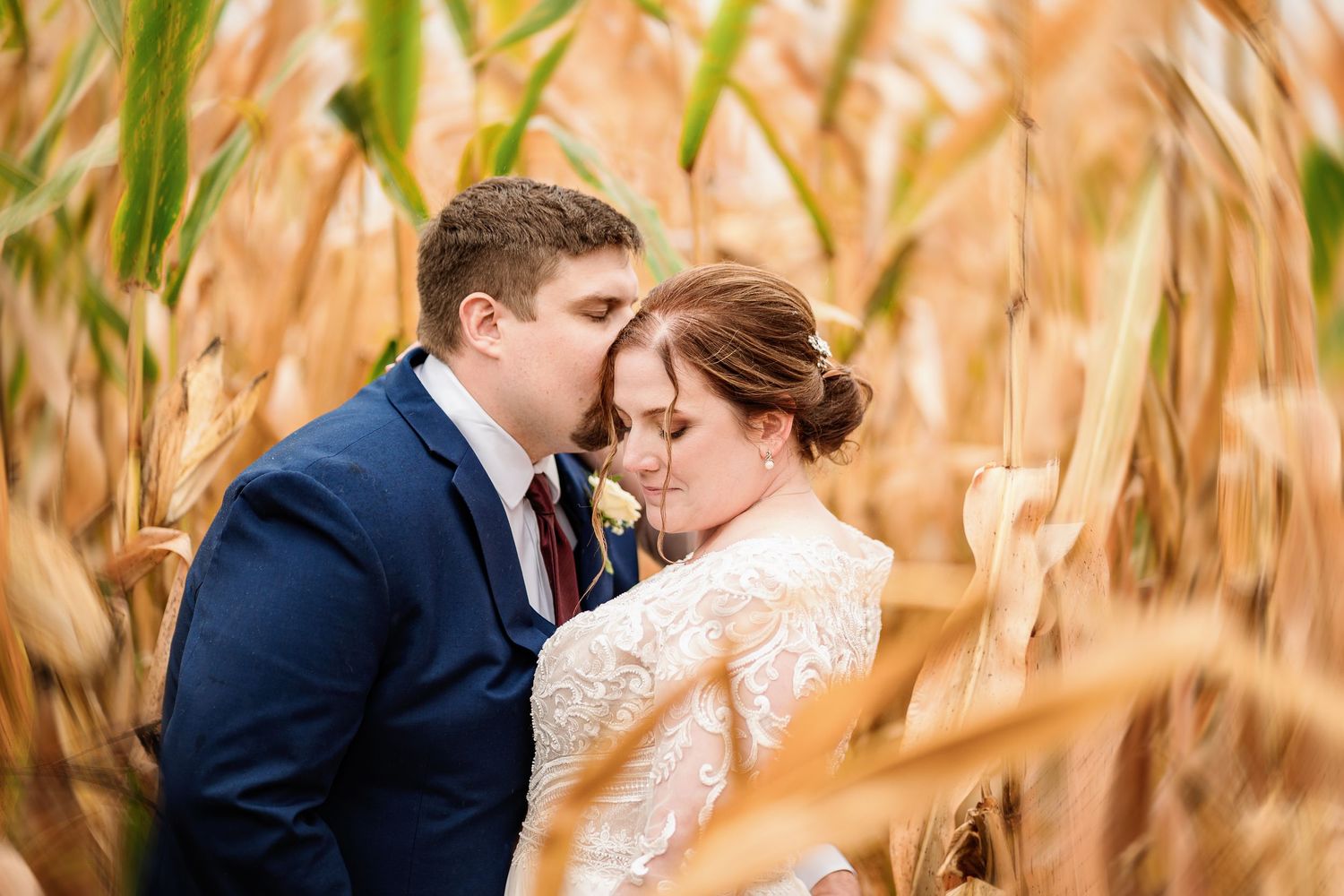 A couple embraces in a golden cornfield during an autumn wedding photoshoot.