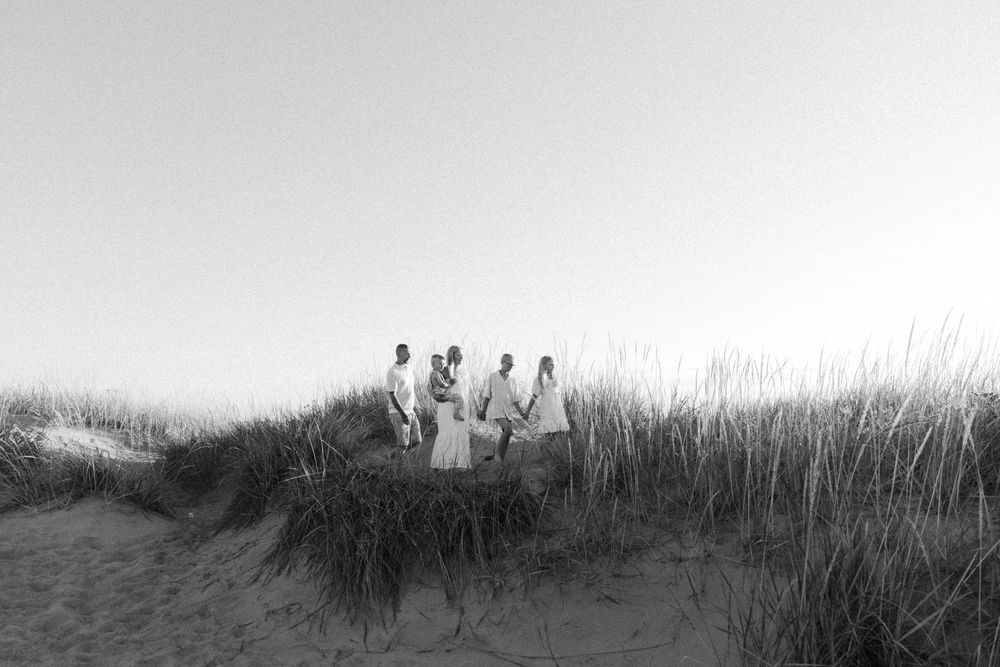 A series of black and white photographs showing tall grass and reeds along a shoreline.