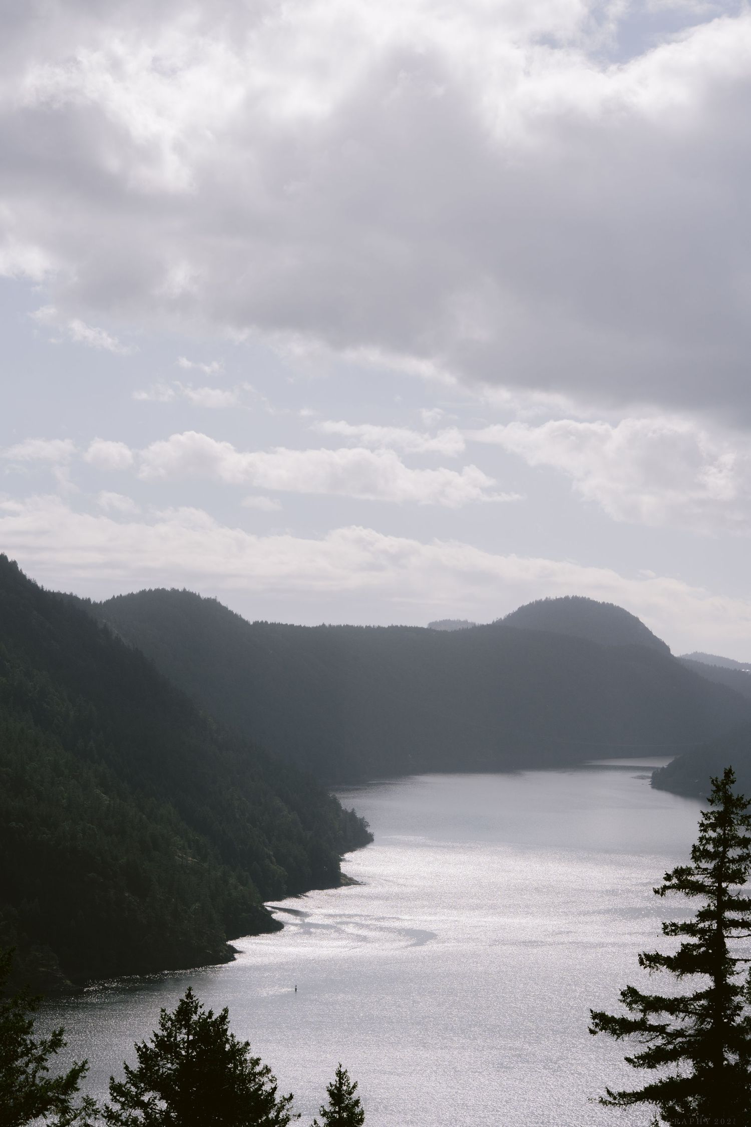 Scenic view of a winding lake surrounded by forested mountains under a cloudy sky.