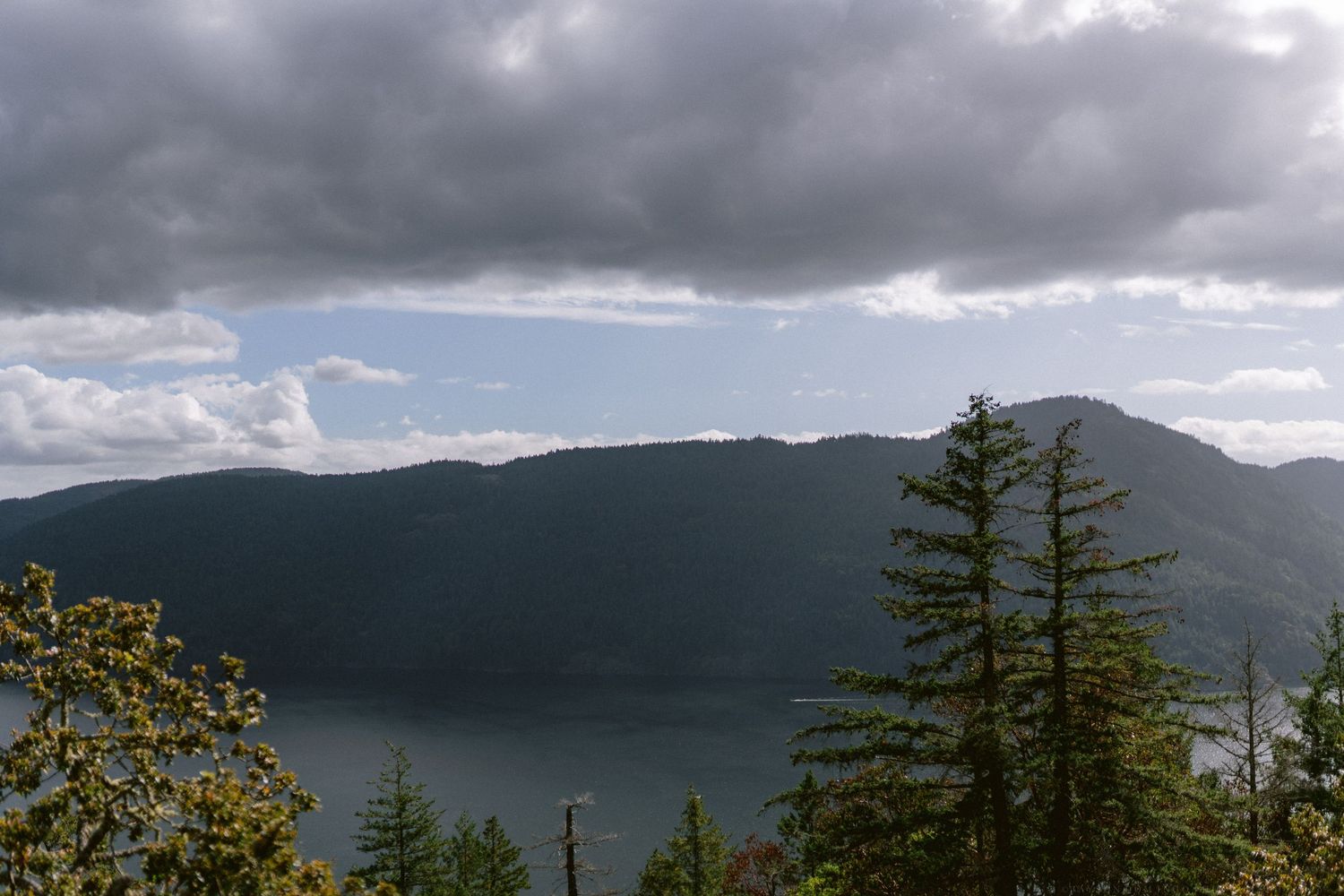 Dramatic mountain landscape under stormy clouds with evergreen trees in the foreground.