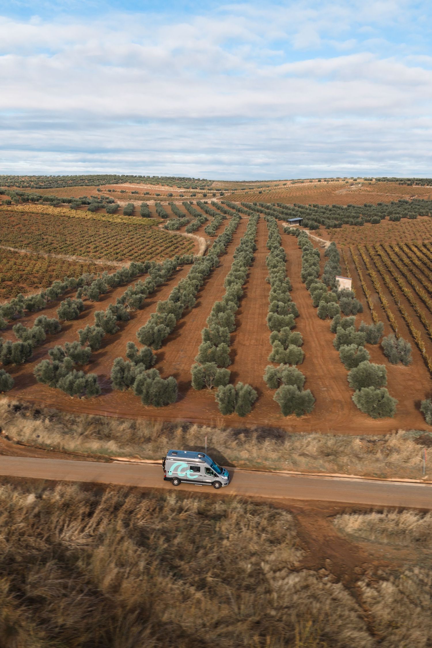 Aerial view of olive groves with neat rows of trees and a camper van on dirt road.