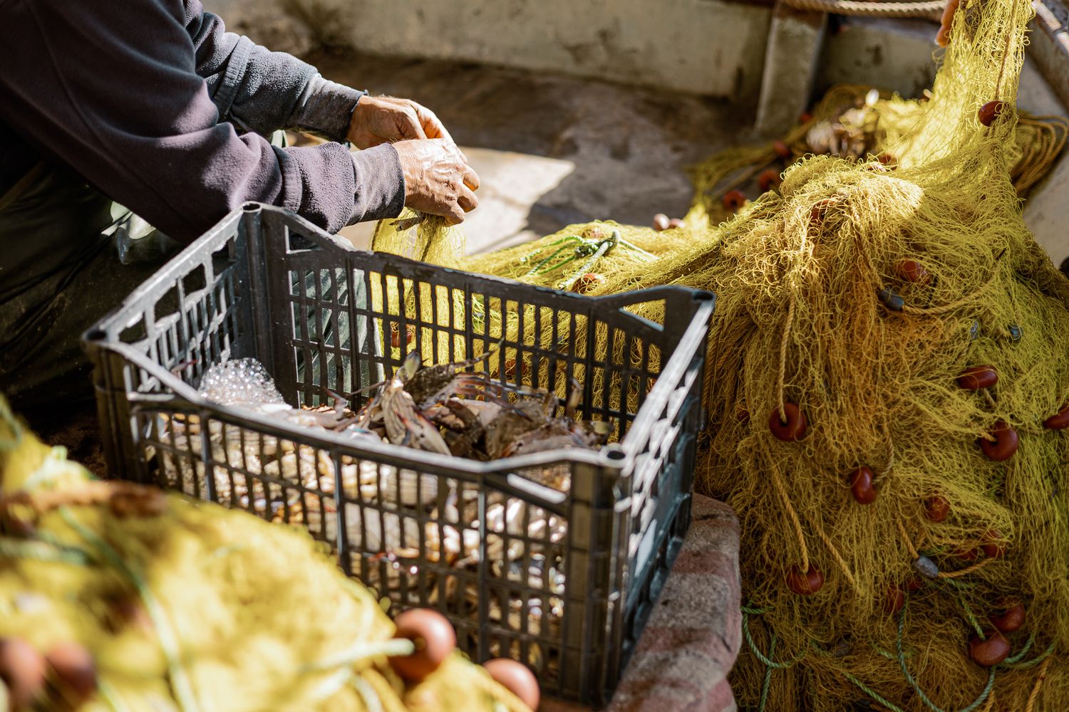 Fishing crate filled with fresh catch beside tangled yellow nets on a wooden boat in Crete, authentic coastal scene.