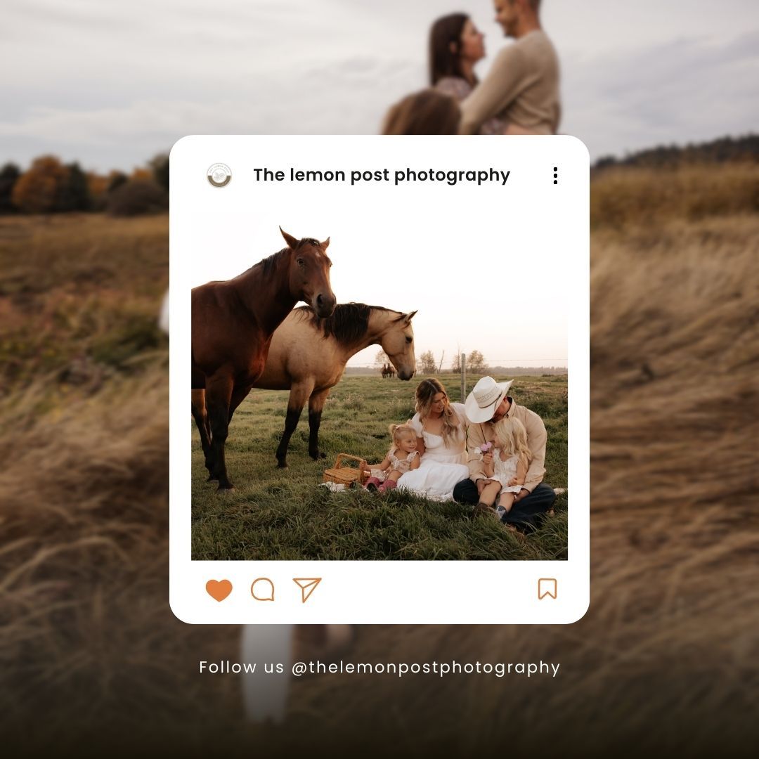 Social media post showing couple and horses in rustic field setting.