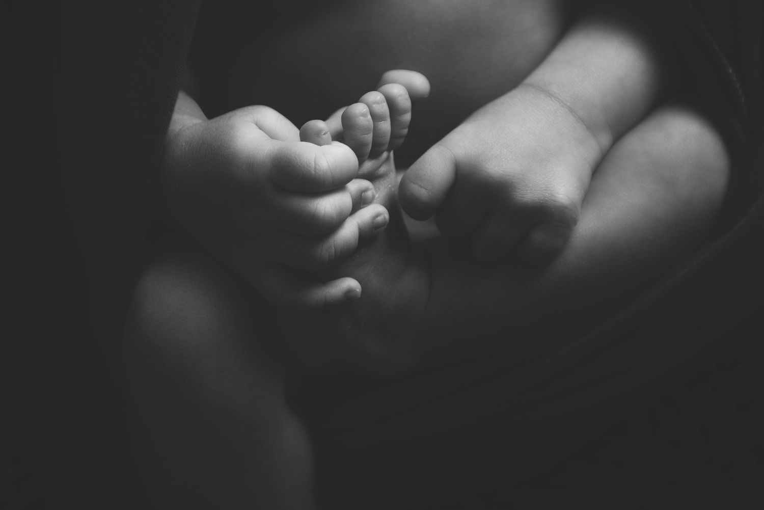 Safety-certified newborn photographer Gold Coast capturing detailed baby features.