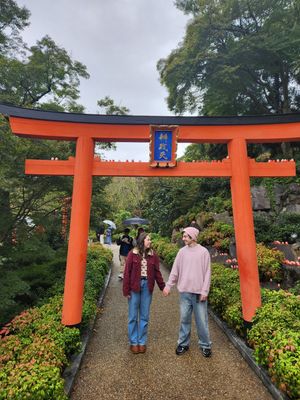 A series of bright orange torii gates line a gravel path in a Japanese garden with blooming yellow flowers.