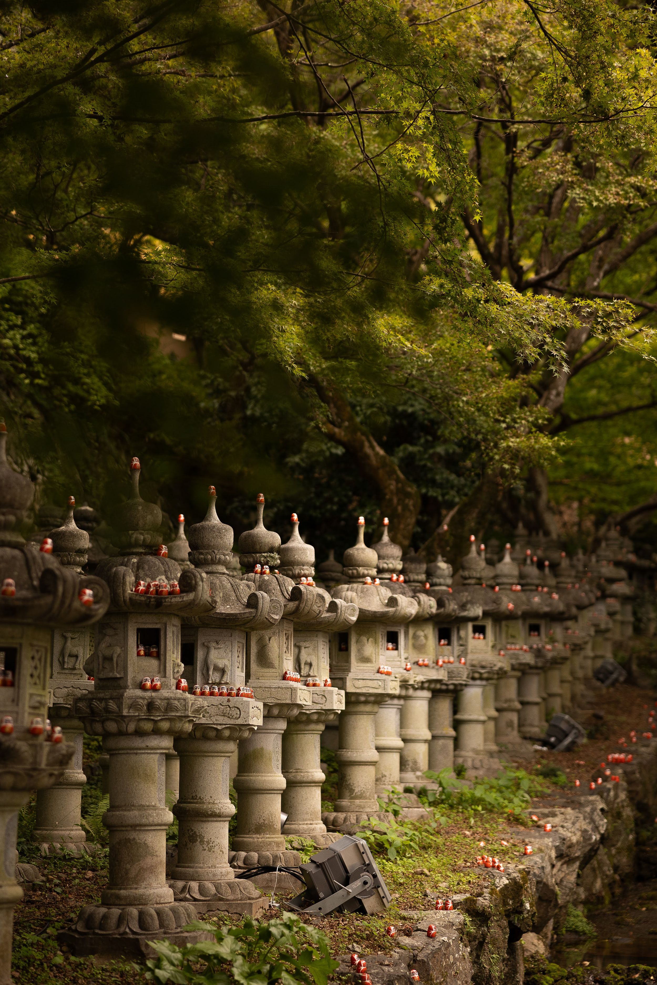 Stone lanterns line a peaceful garden path at a Japanese temple under dappled sunlight and autumn foliage.