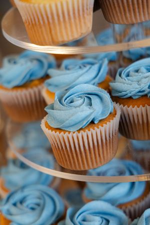 Cupcakes decorated with light blue frosting roses arranged on a multi-tiered display stand.
