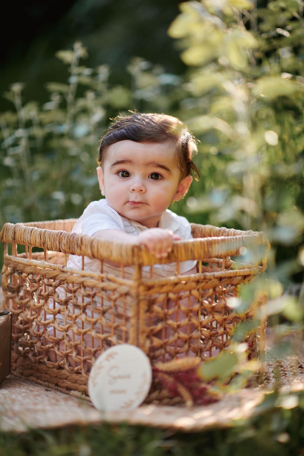 A wide-eyed baby with dark hair sits upright in a wicker basket surrounded by soft green foliage in natural light.