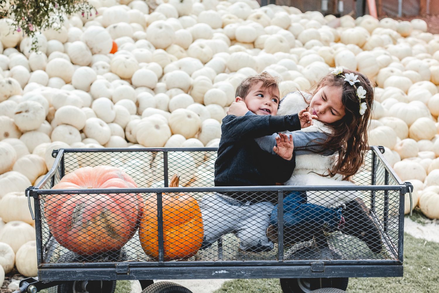 Two children pose playfully near a wagon filled with colorful pumpkins and gourds while white pumpkins fill the background.