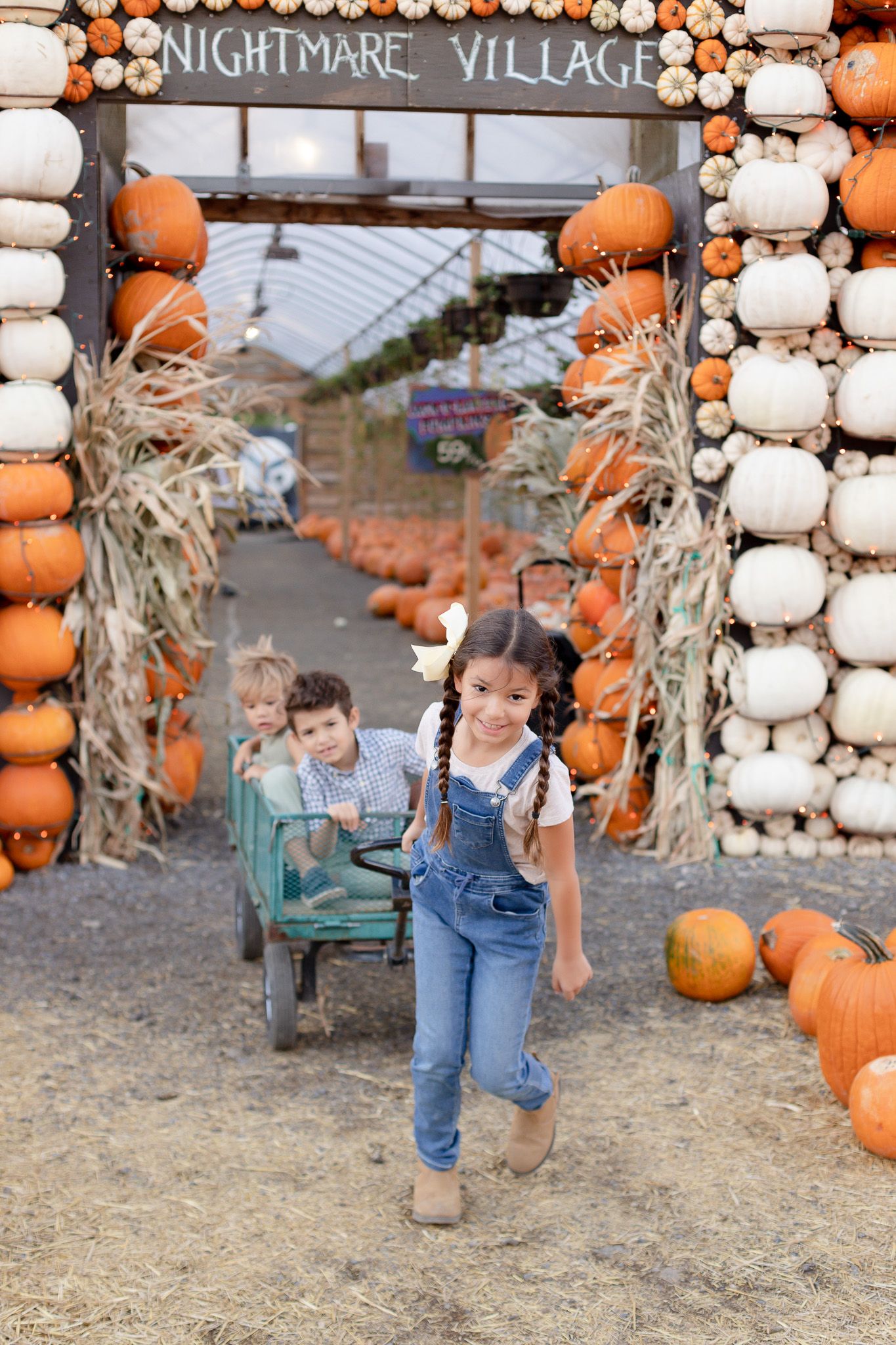 Large display of orange and white pumpkins with hay bales and a rustic chair at an autumn harvest festival setup.