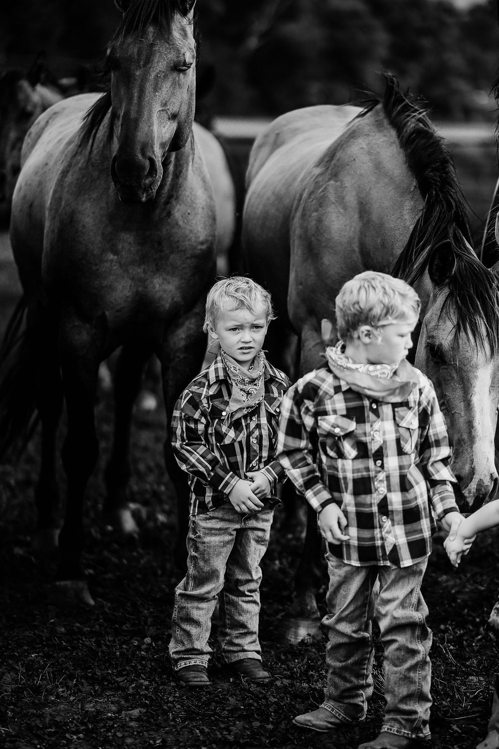 Two children in plaid shirts and jeans play together near horses in a black and white photograph.
