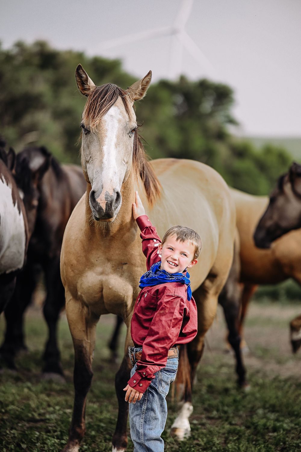 A joyful child in red and denim interacts with a brown and white horse in a field.