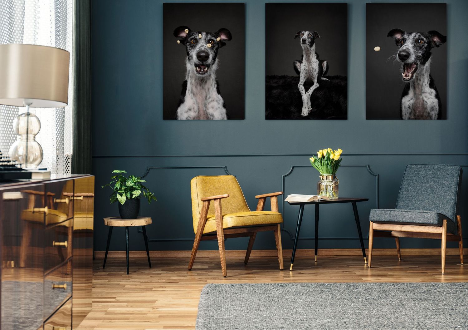 Beautiful wallart showcasing your portraits and bond with your pet by helgazimages, fine art pet photographer in Tampa Bay