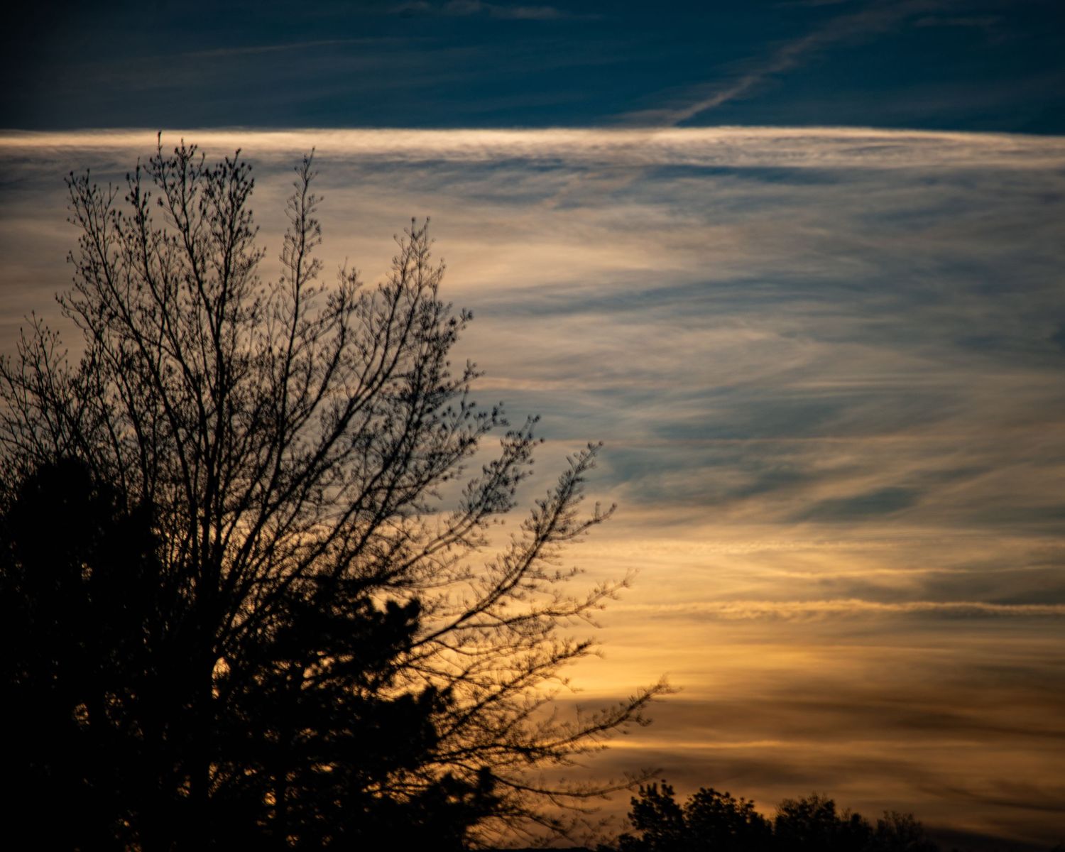 Silhouette of bare trees against a dramatic sunset sky with wispy clouds in shades of orange, gold, and blue.