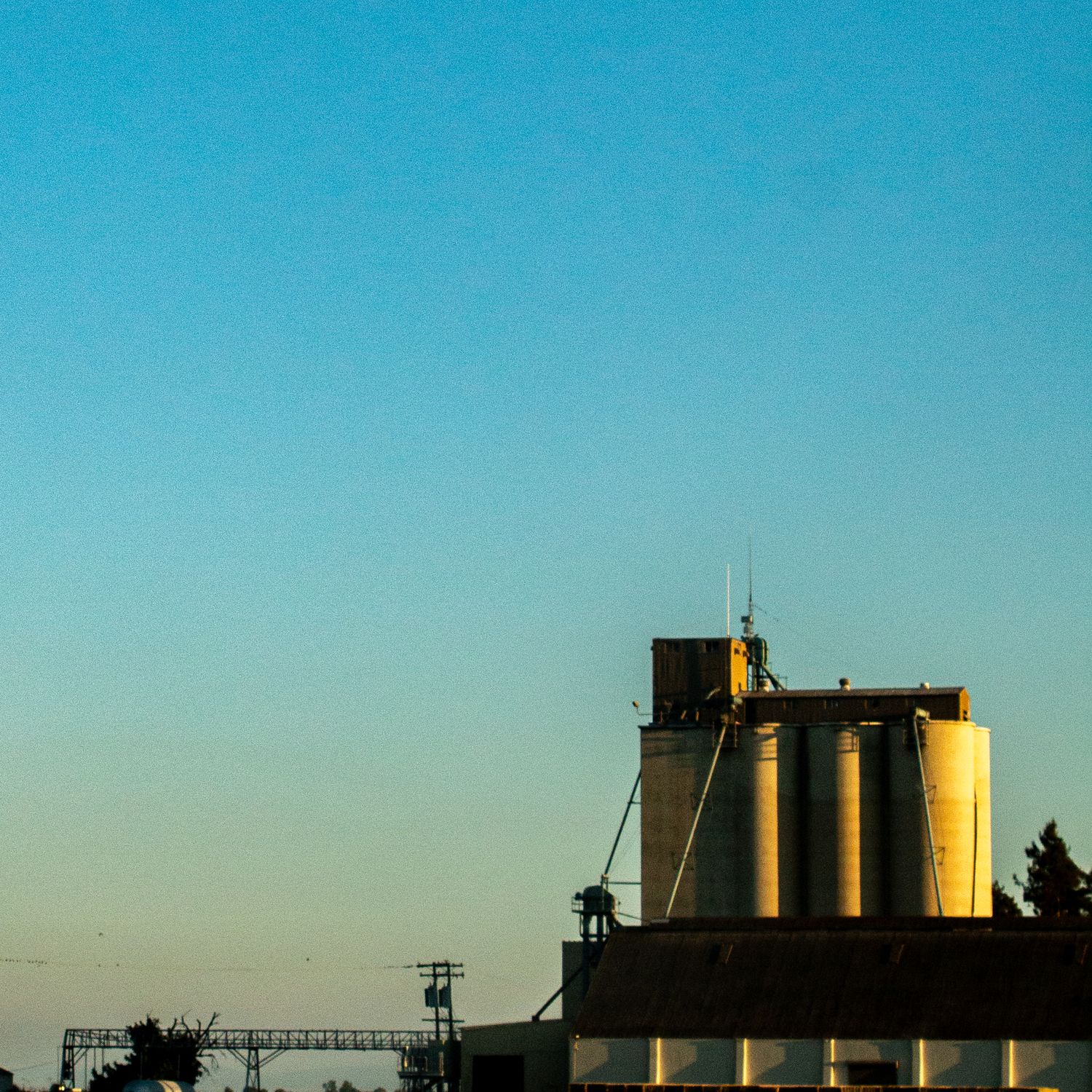 Industrial grain silos silhouetted against a clear blue sky at sunset with warm golden light.